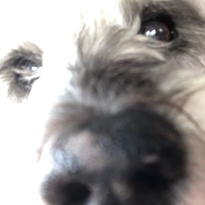 Meet your Posher, Natalie